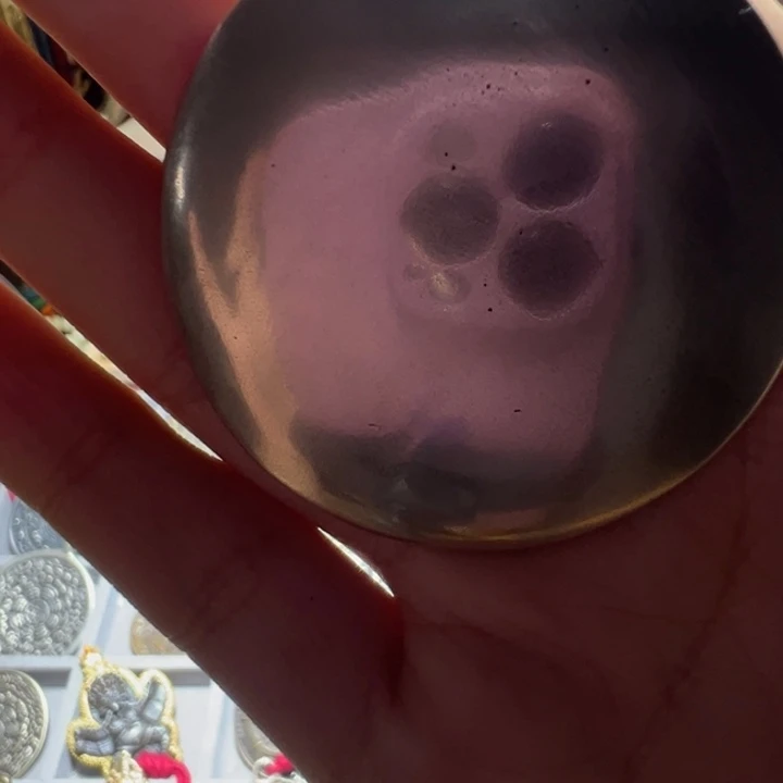 手串/手链鹿骨藏族