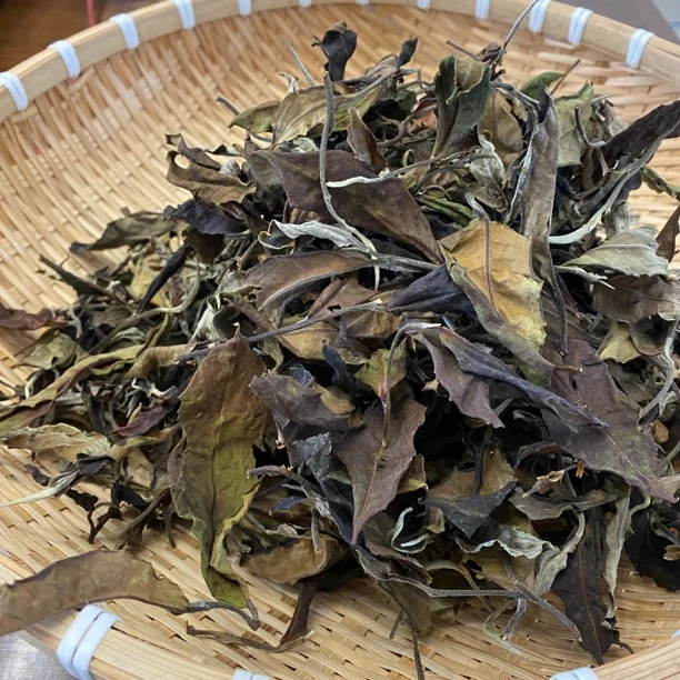 又香又甜云南大叶种古树白茶500克（冰岛产区）