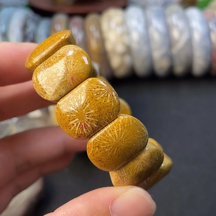未镶嵌手链硅化珊瑚（珊瑚玉）