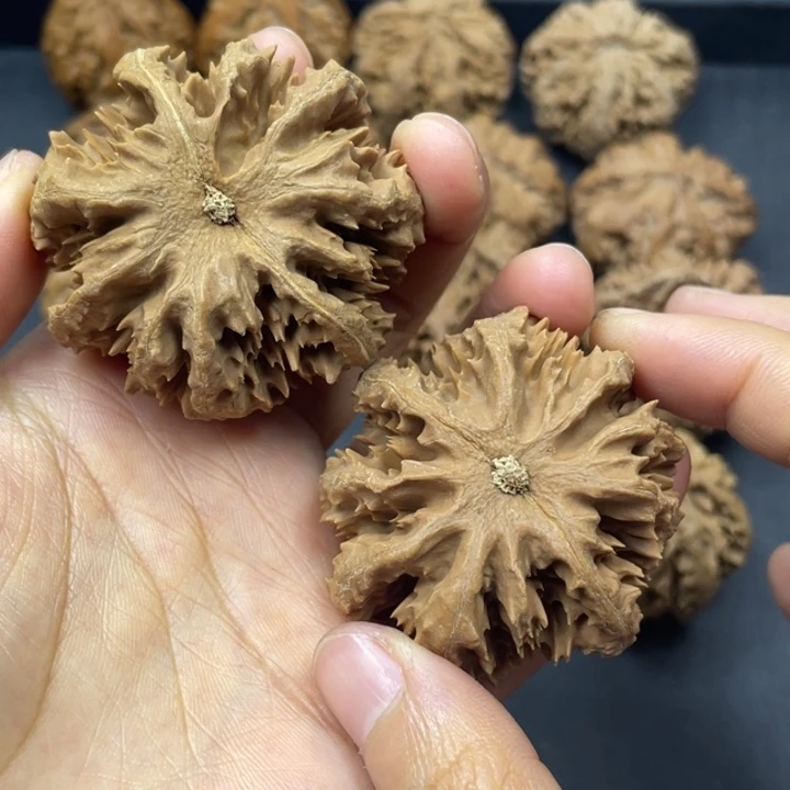 文玩核桃吊坠突突突突突突