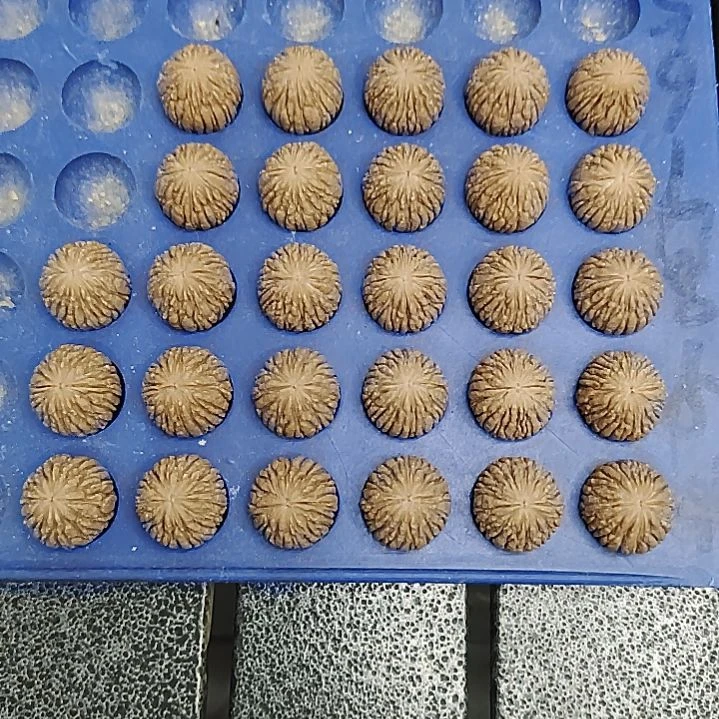 手串猴头核桃临****店