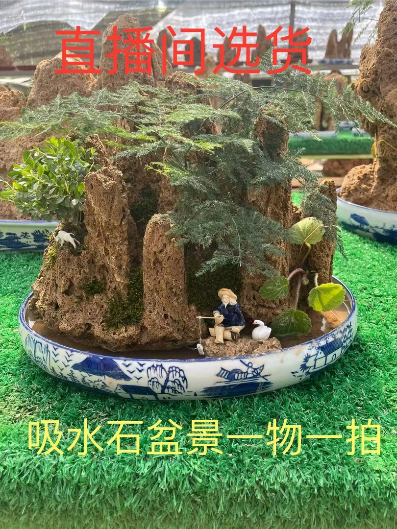 天然吸水石芦管石盆景