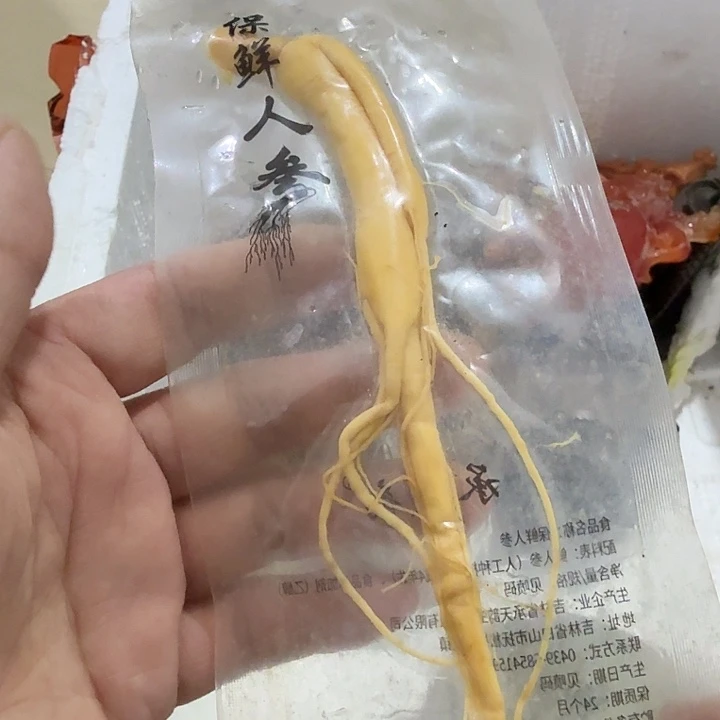 z***n扇子 吃g给哥哥哈哈v哈哈