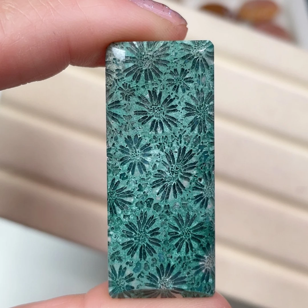 【闪购商品】未镶嵌吊坠(赠链)硅化玉