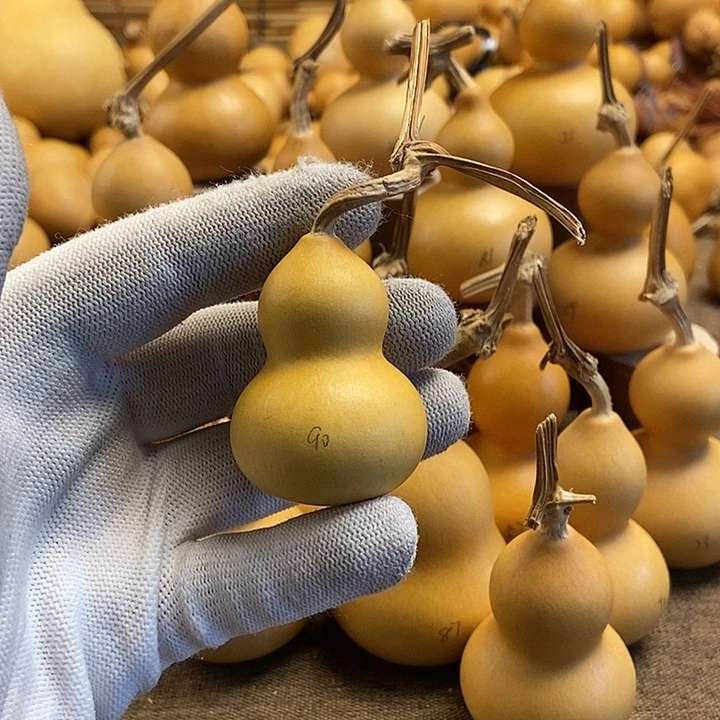 文玩葫芦 完美主义者 慎拍90