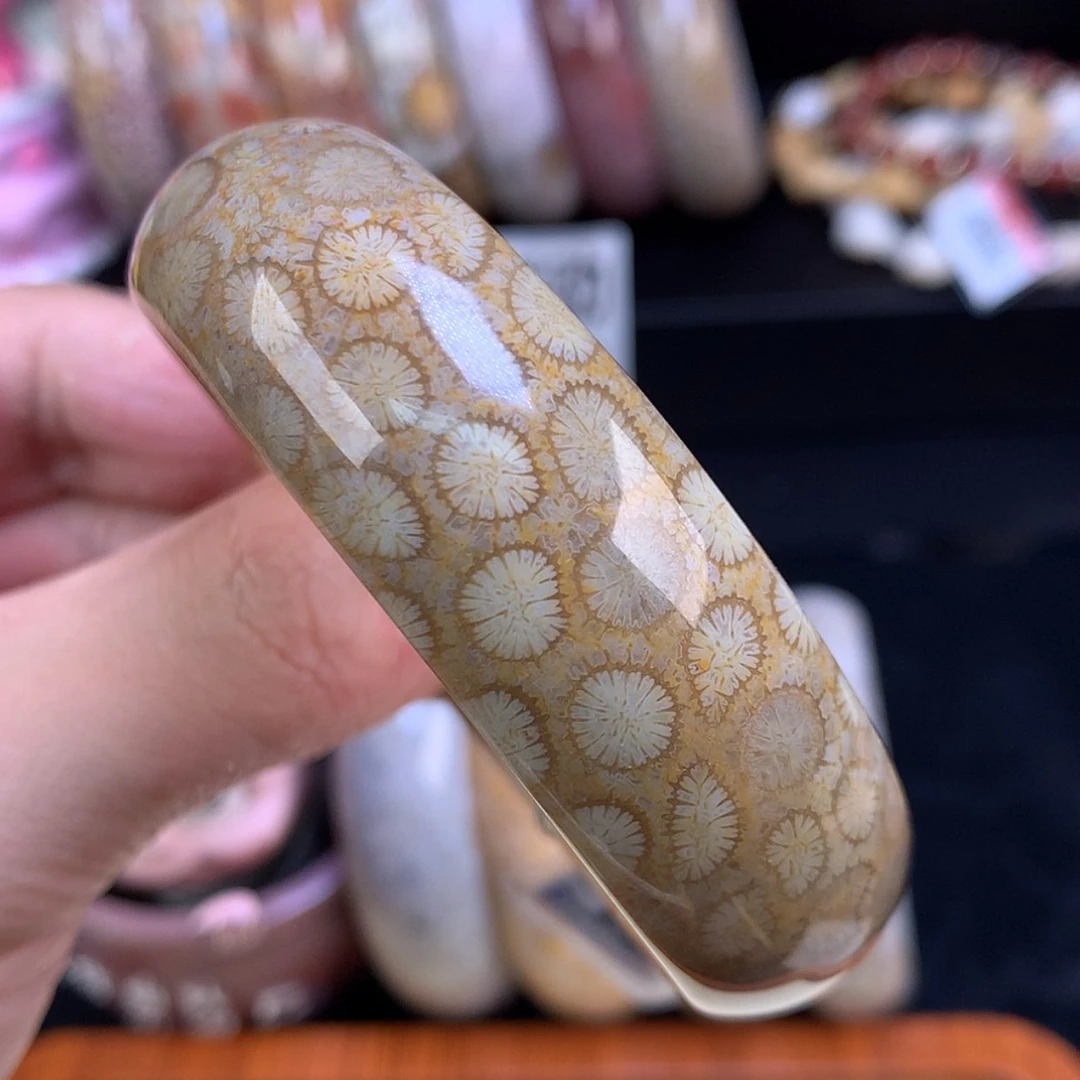 【闪购商品】颈饰未镶嵌硅化珊瑚（珊瑚玉）50号57.6圈皮花花