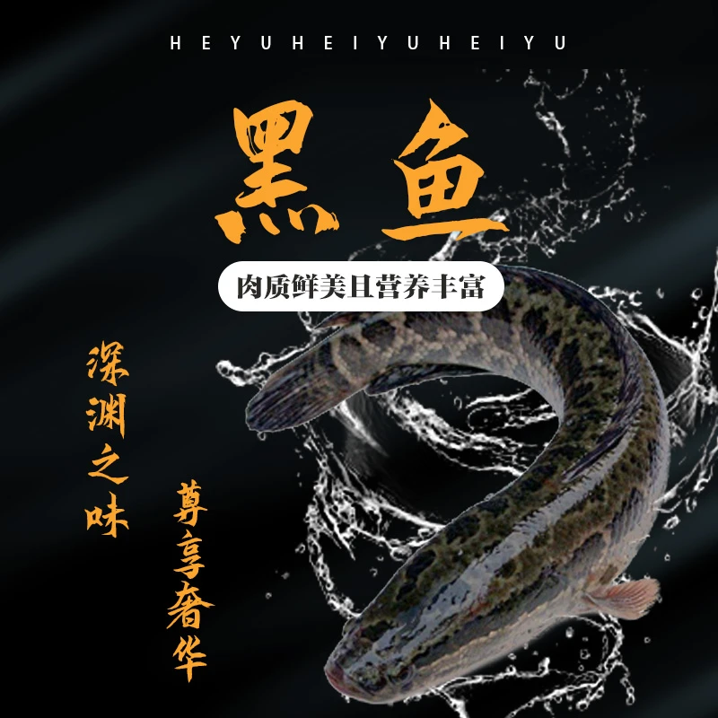 江浙沪淀山湖 生态（黑鱼） 顺丰冷链发货