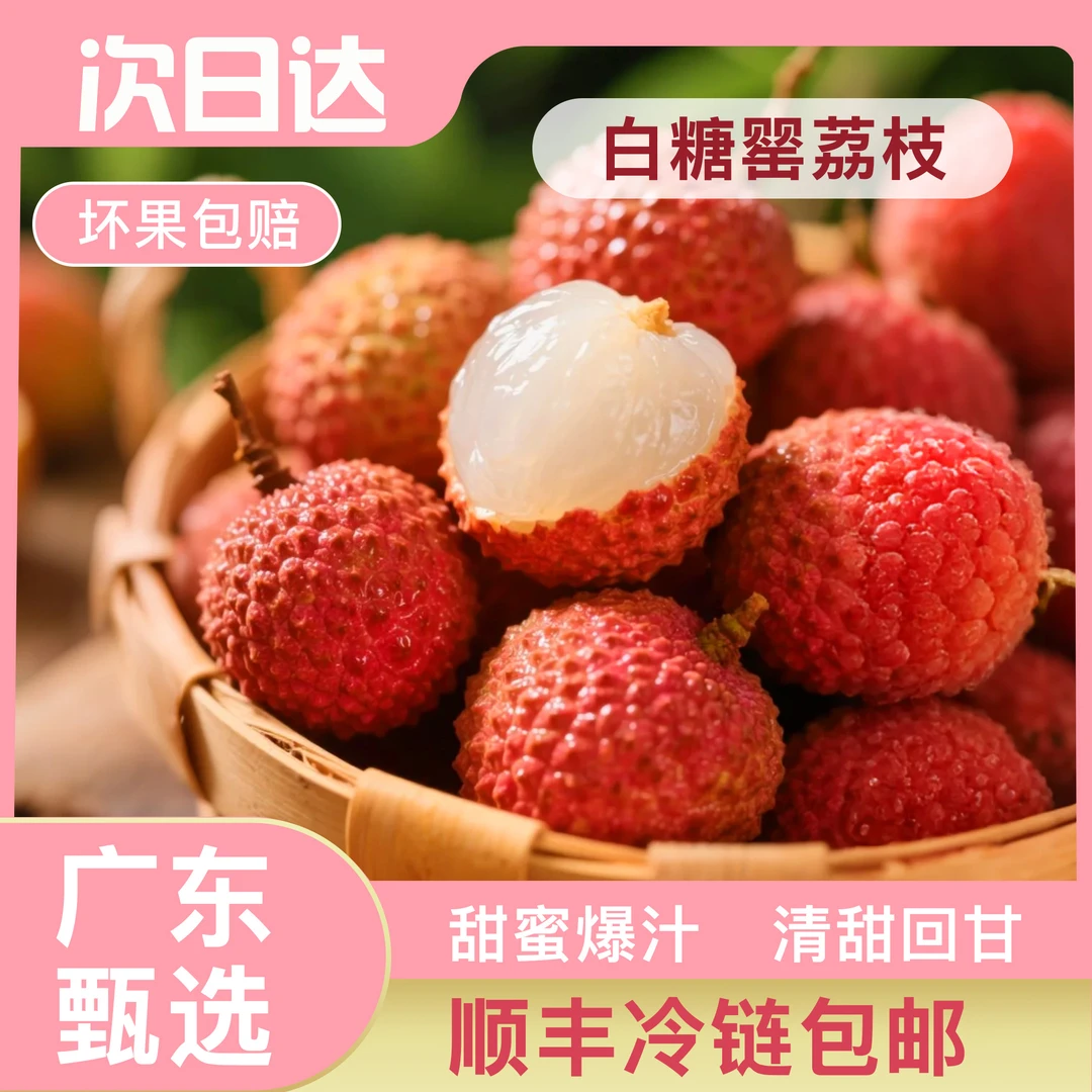 白糖罂荔枝 纯甜 广东省高州果园现摘现发小1斤/3斤/5斤 顺丰冷链包邮次日达新鲜广东省