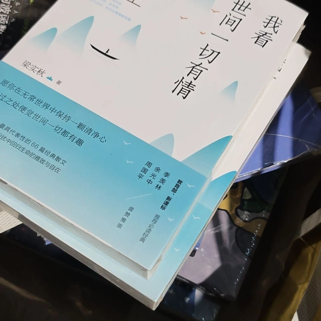 我看世间一切有情平装塑封