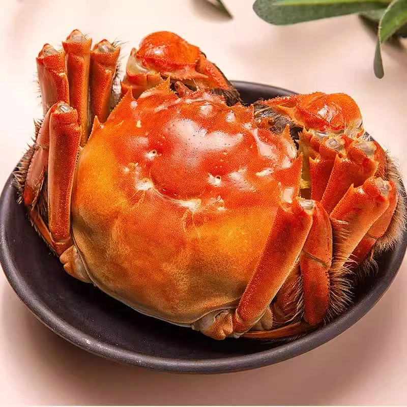 【活蟹现发】苏州精品大闸蟹 全母蟹4两 母(8)只