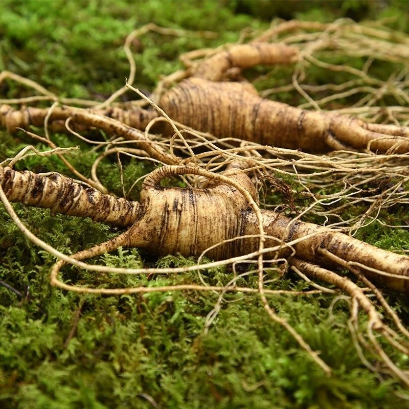 东北特产人参直播改价链接