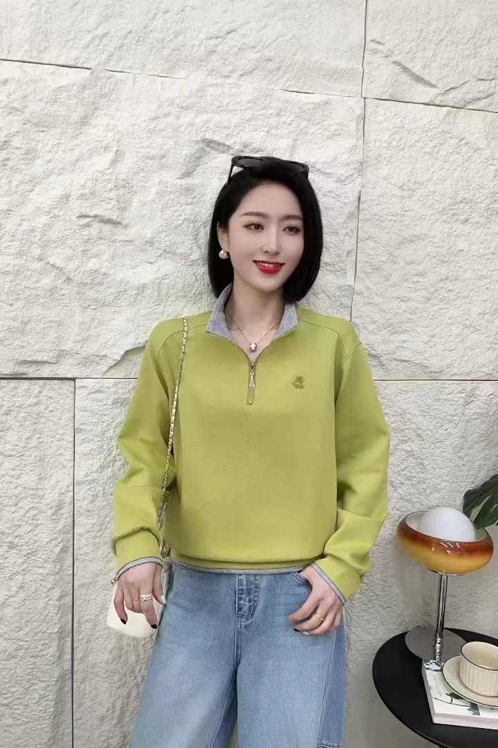 春季新款时尚半拉链字母刺绣休闲百搭套头长袖立领卫衣