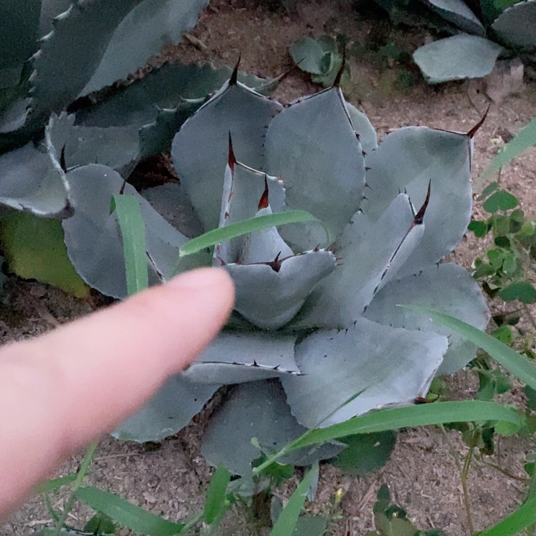 小**?000000000000000000