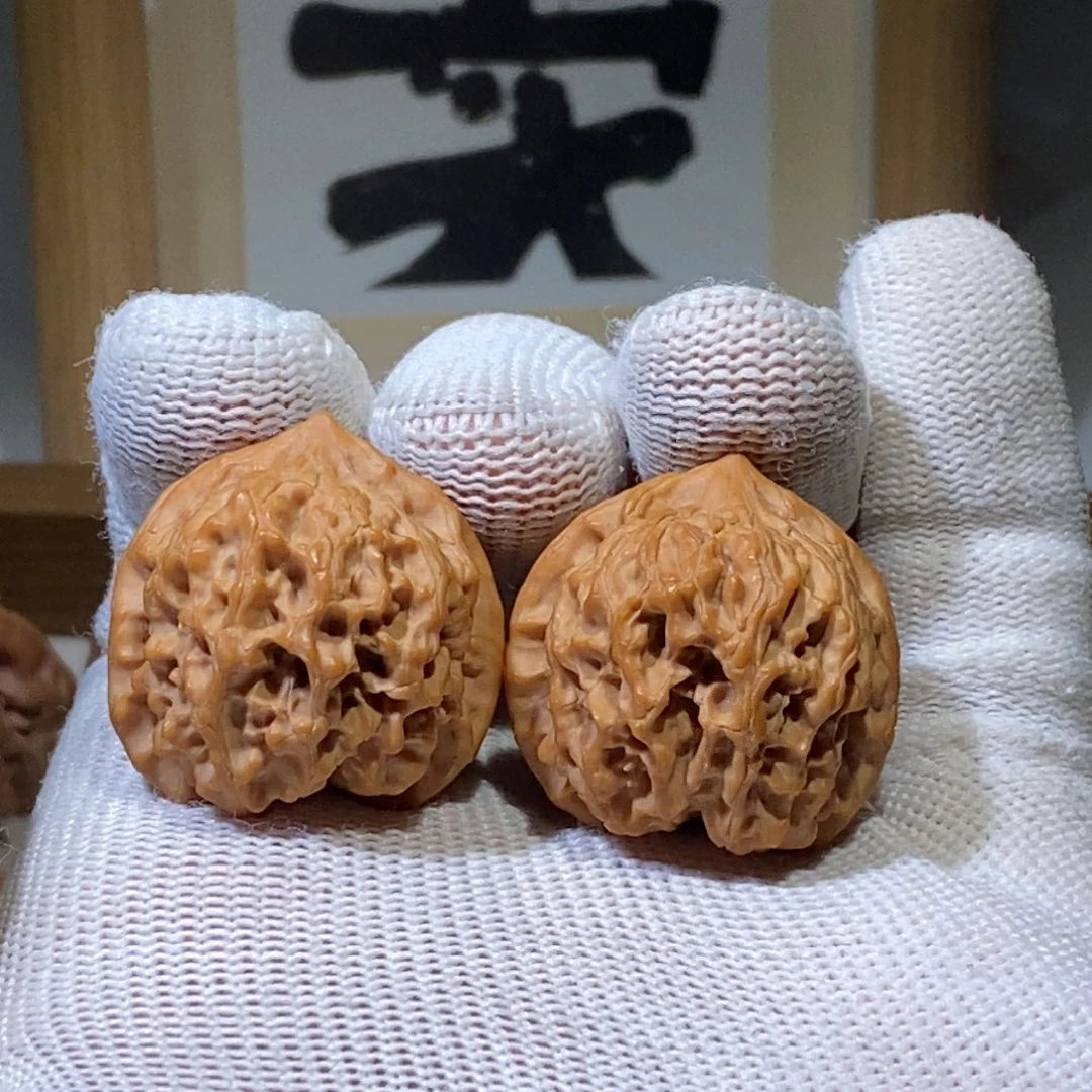 秦玲狮子头28尺寸