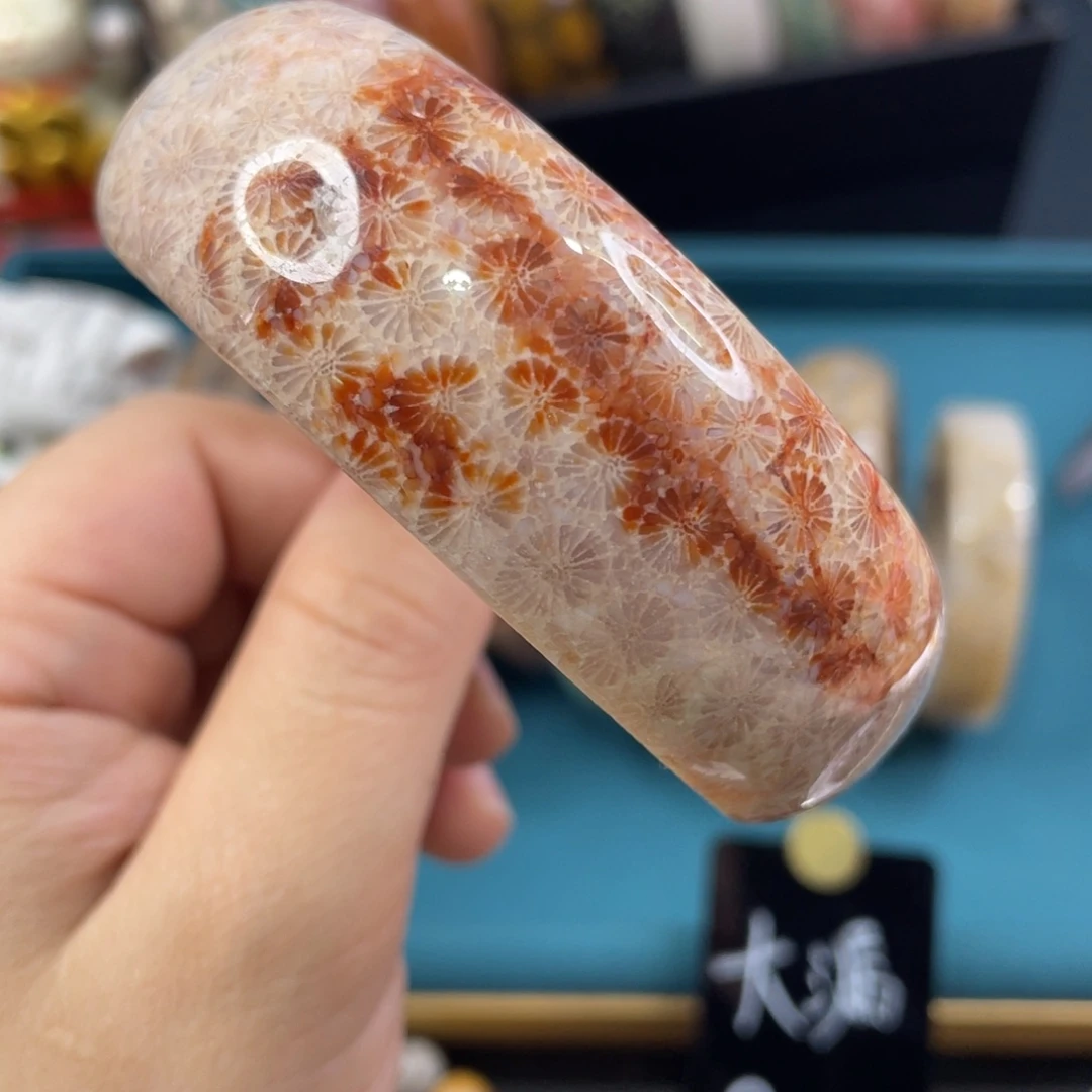 未镶嵌手镯硅化玉