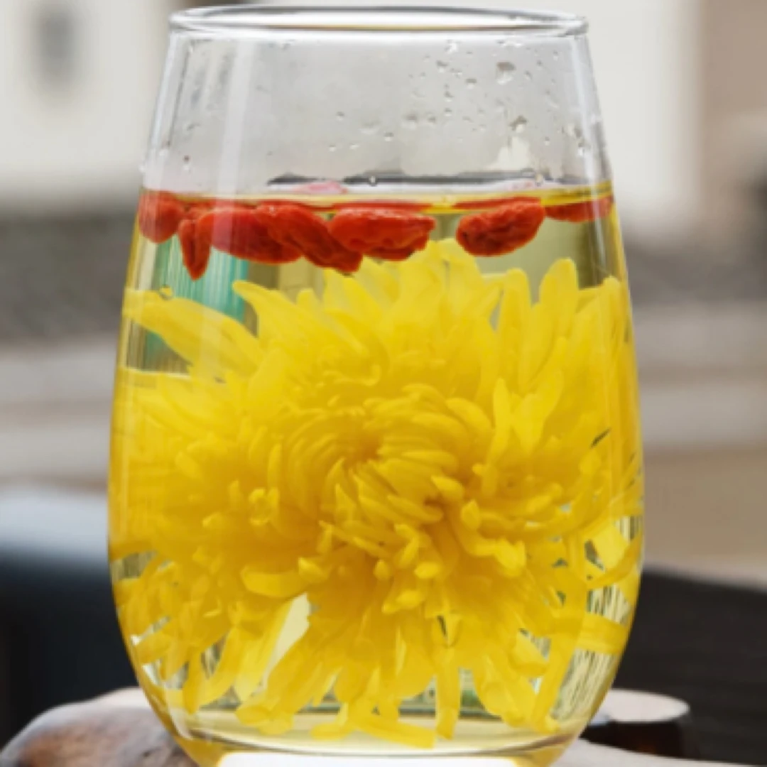 优【金丝皇菊】朵大饱满精美清新色泽金黄