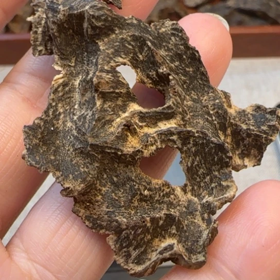 摆件沉香海南沉水白沙包头2.19克