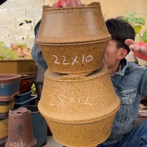 花盆紫砂特价包邮送盒子