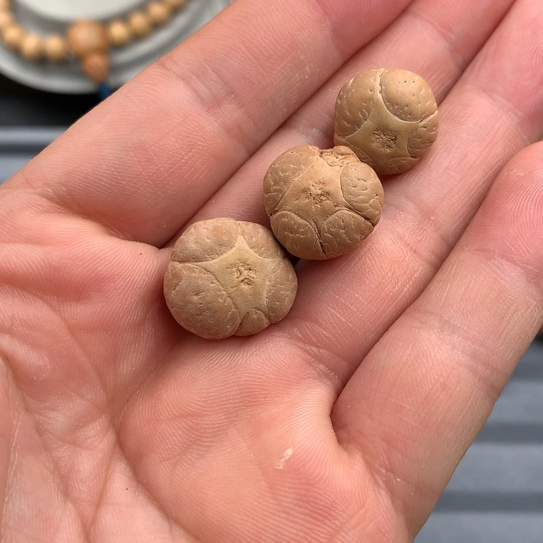 凤眼菩提吊坠覌五星三颗