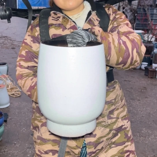 红陶口20高31正品