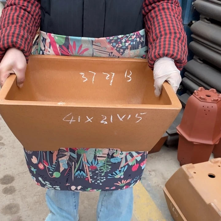 紫砂花盆只顾看剧还