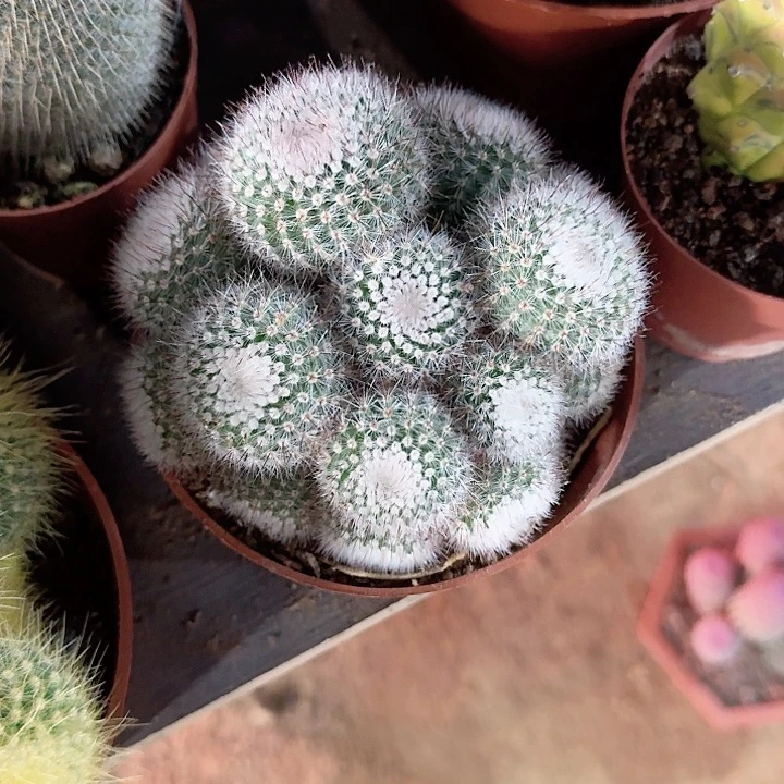 @***惜哈哈哈哈哈哈哈哈