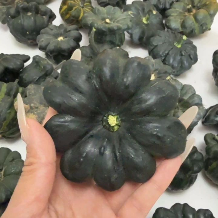 时***空饿哦饿哦饿哦饿哦