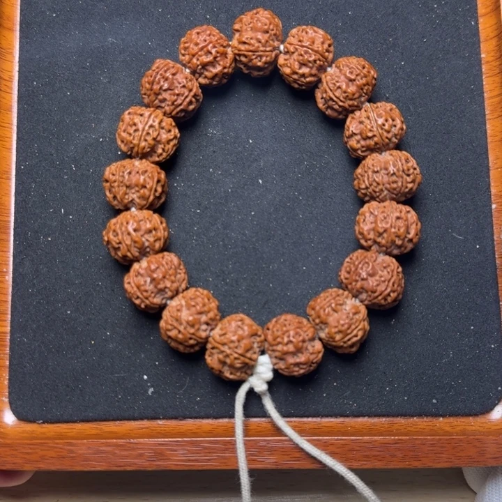 手串金刚菩提8号20尺寸原生态梅花双龙