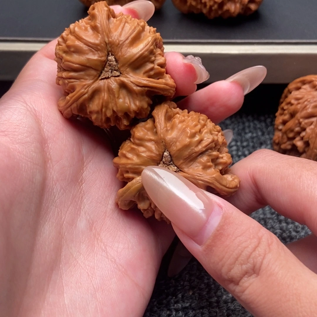 精***神木质类白狮子正奔