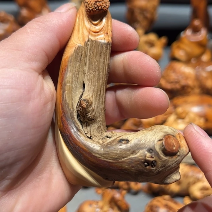 柏木（崖柏）点点关注