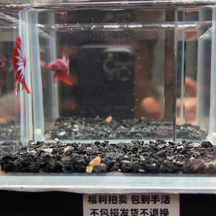 斗鱼满30包邮10日10