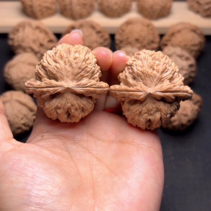 把件文玩核桃44白狮子