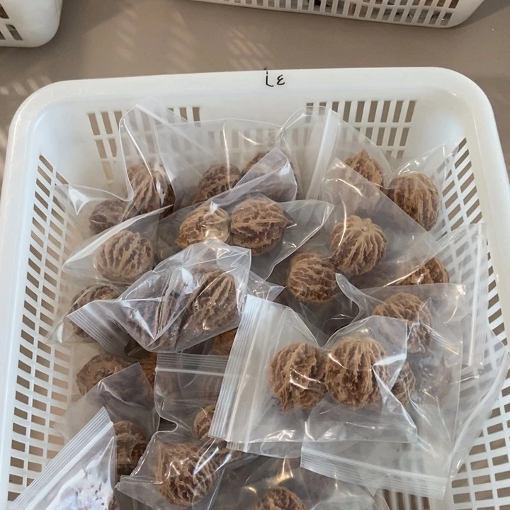 吊坠文玩核桃野龙