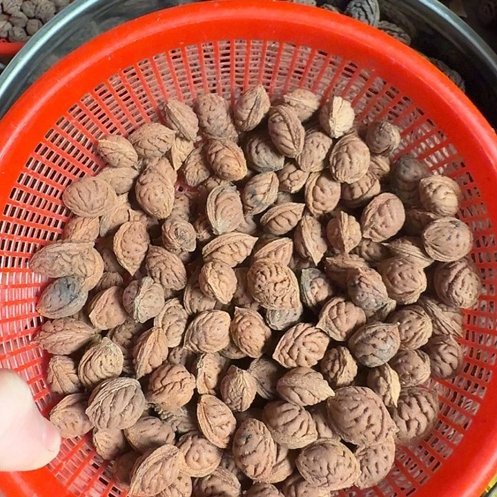 精品碧桃核小尺寸50颗