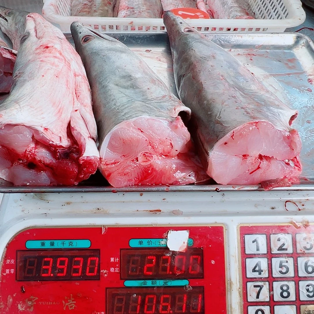 中国大陆三个鳗鱼头