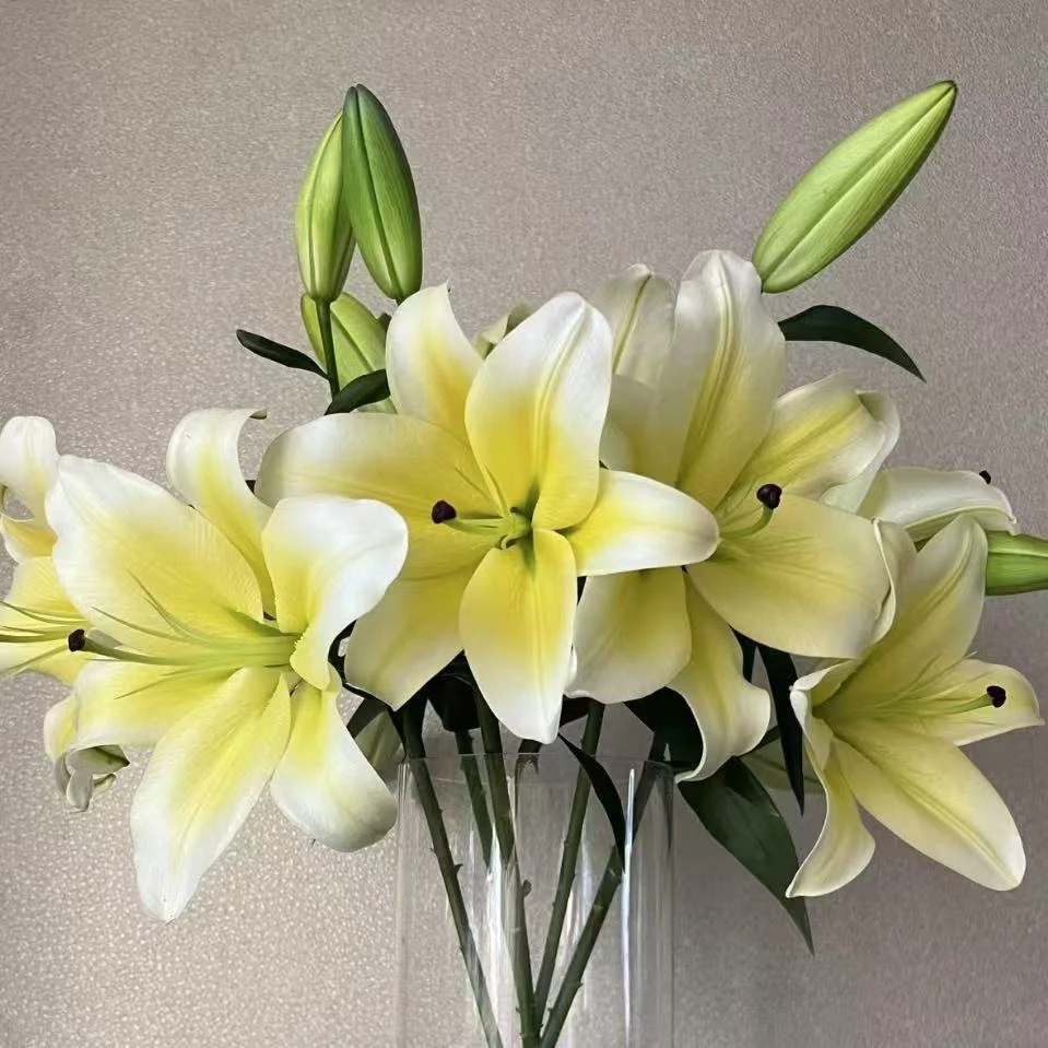 云南直发香水单瓣顺丰包邮超大黄天霸百合浓香云南直发鲜花警察