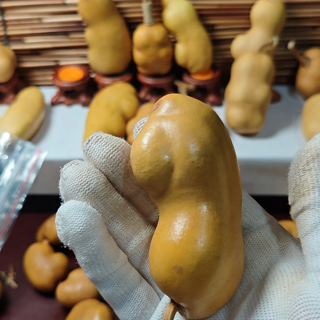 M***驰精品土豆葫芦一物一拍