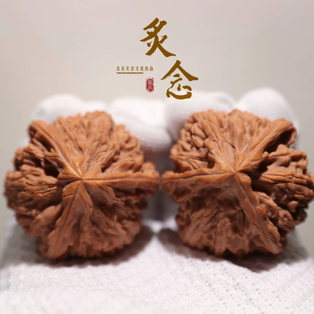 御龙粗筋正奔 · 46 一物一图 文玩好物 文山正奔