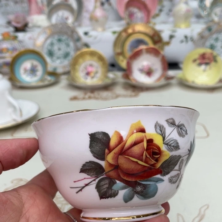 盘维多利亚欧洲中古