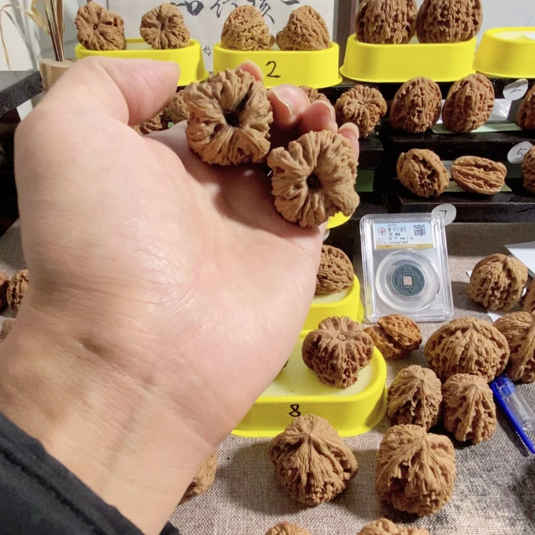 木质类奥迪丑南疆