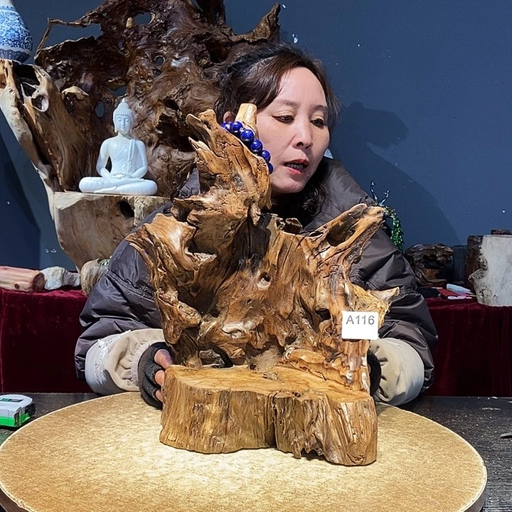 5*8116株木底座随行根艺