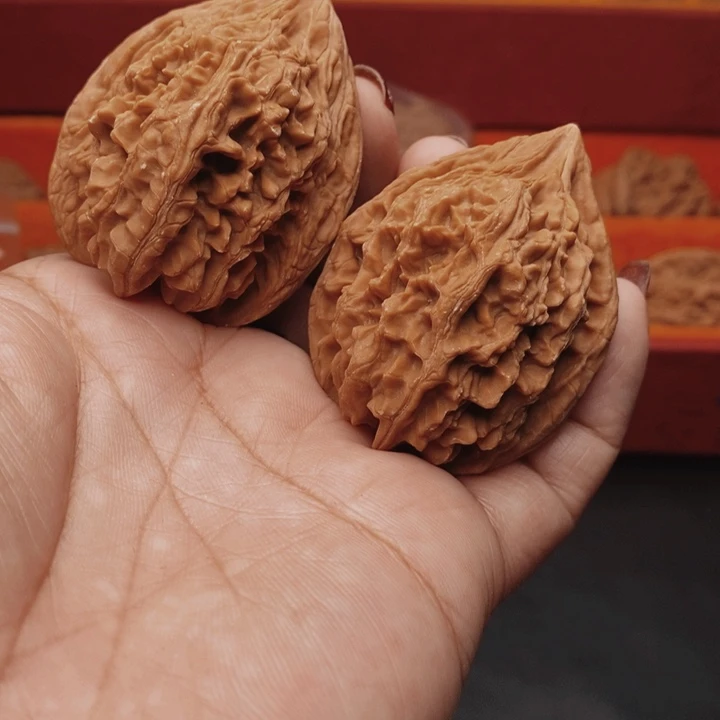 核桃大沽石40尺核桃