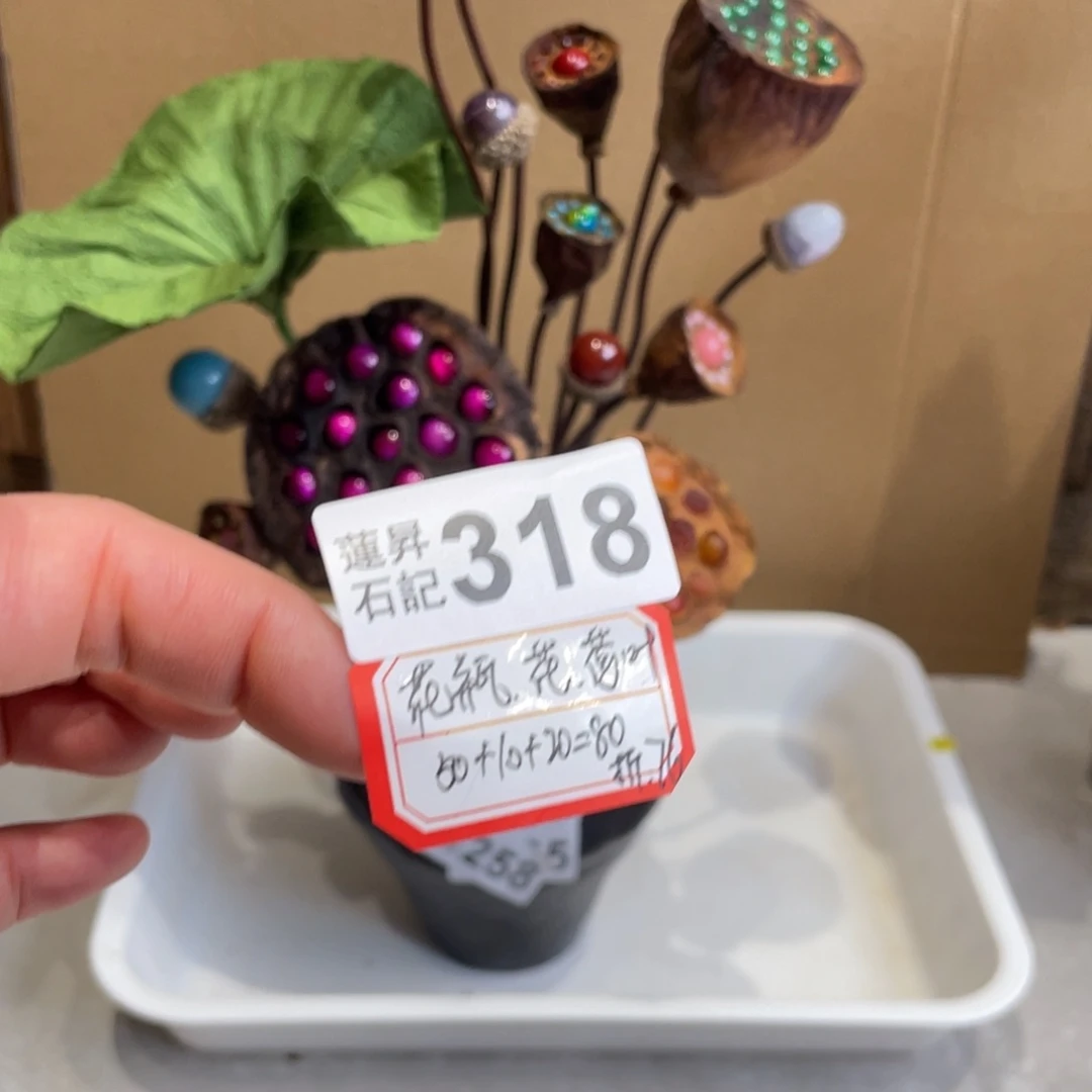 核桃木/黑胡桃（胡桃木）琦***3318