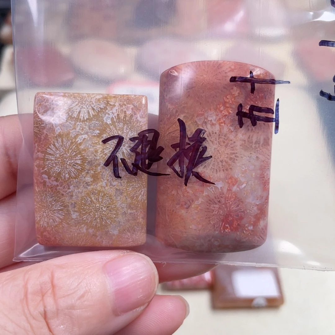 【闪购商品】未镶嵌手镯硅化玉五****鱼