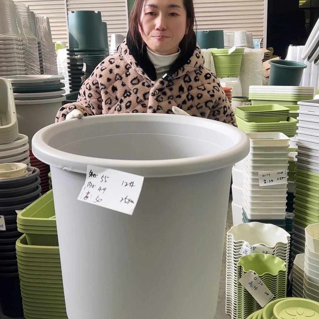 瑕疵四季盆12#灰白2个无托