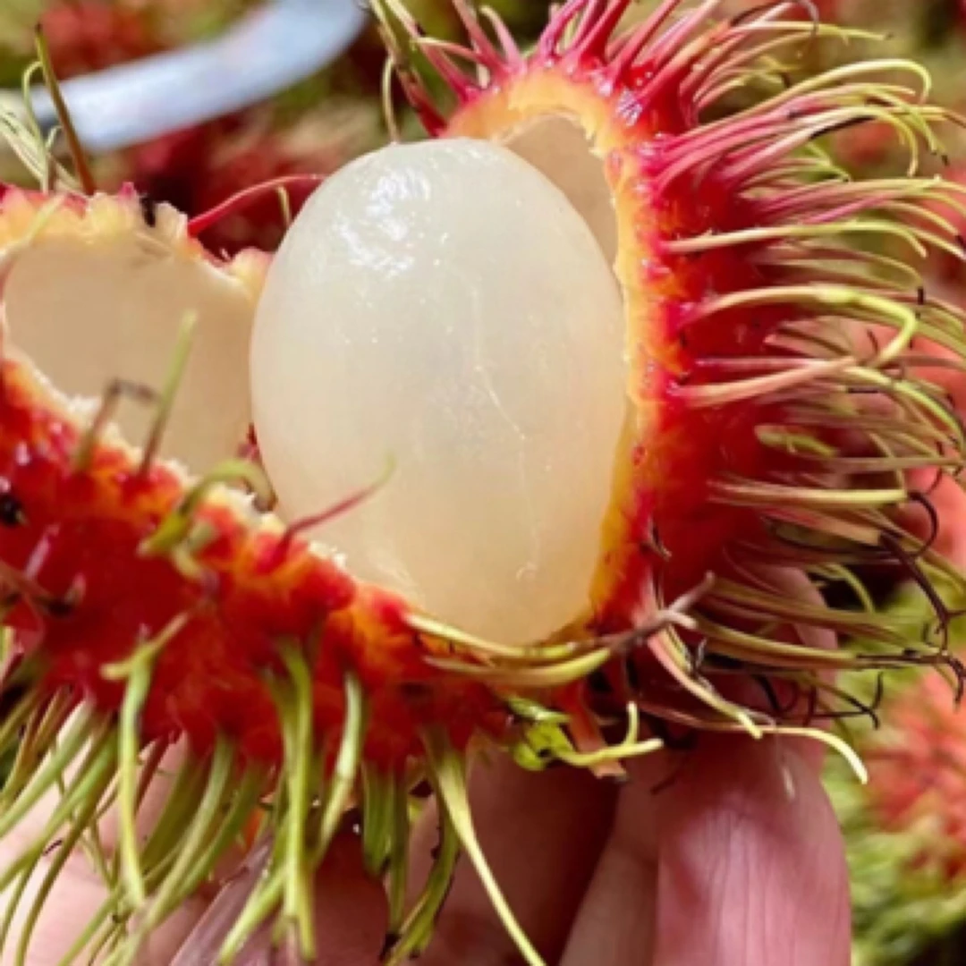 红毛丹 1斤左右