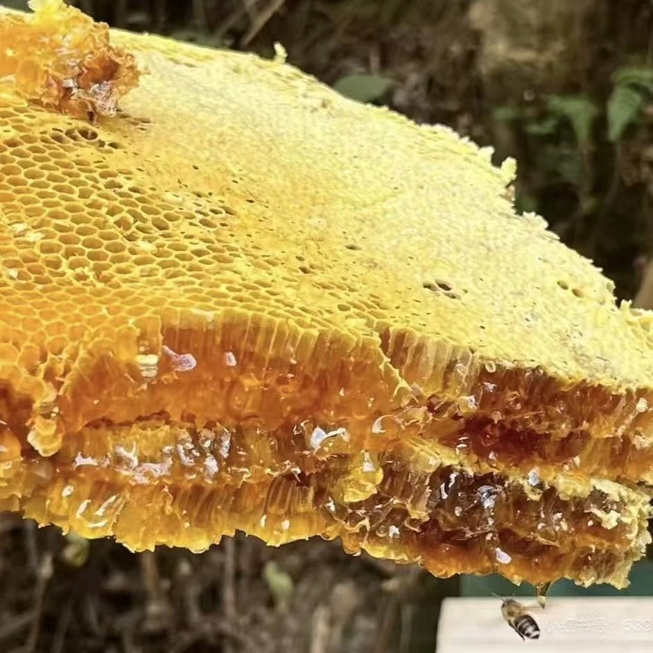 江西高山木桶农家正宗土蜂蜜