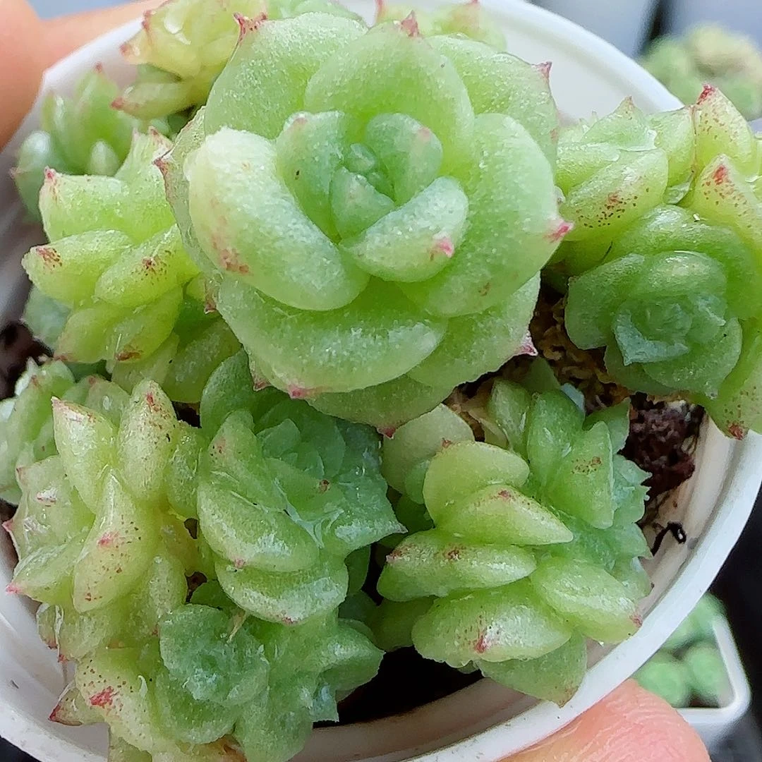 【闪购商品】0613-36优选