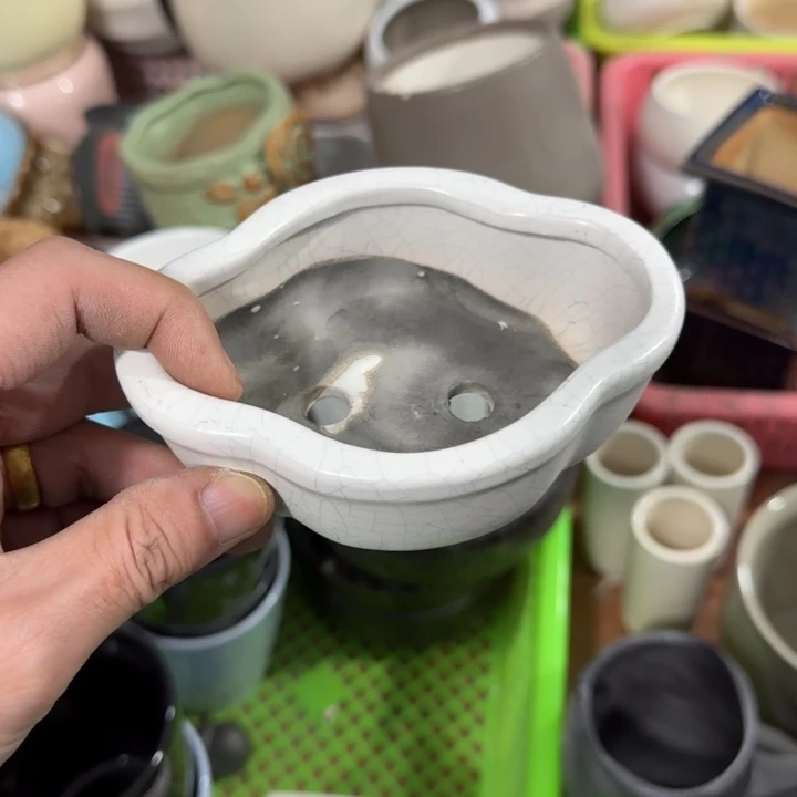 《所有单满15发（花盆）》10×7×4