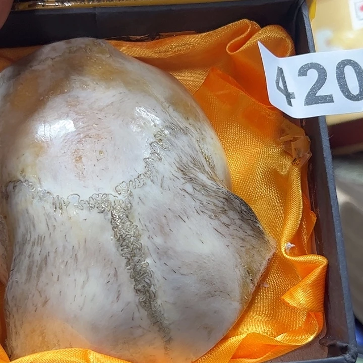 盖***爱非洲紫檀（红花梨）420